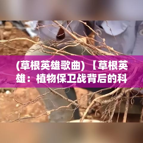 (草根英雄歌曲) 【草根英雄：植物保卫战背后的科学揭秘！洞察自然界的神奇防御机制】